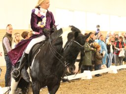 IMG_5353_web